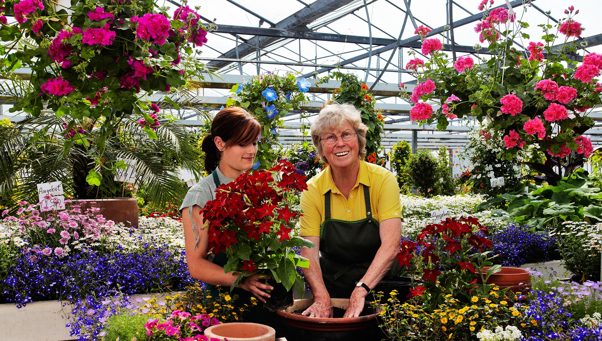 Gärtnerei und Blumenladen in der Region